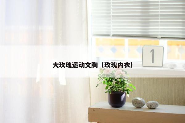 大玫瑰运动文胸（玫瑰内衣）