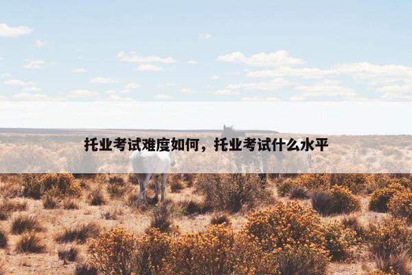 托业考试难度如何，托业考试什么水平