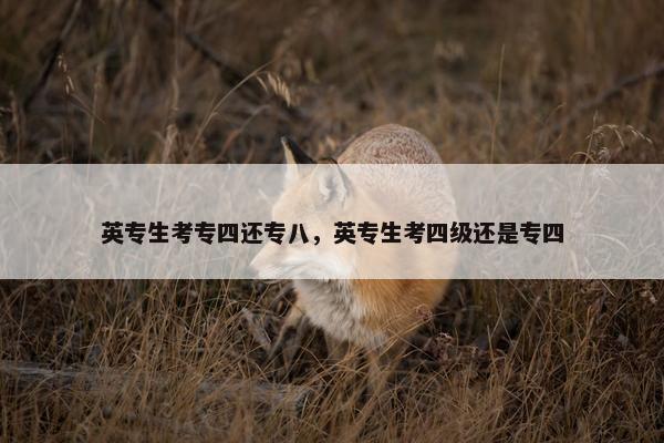 英专生考专四还专八，英专生考四级还是专四