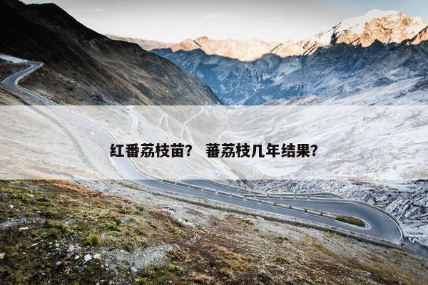 红番荔枝苗？ 蕃荔枝几年结果？