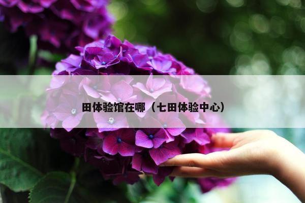 田体验馆在哪（七田体验中心）