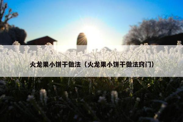 火龙果小饼干做法（火龙果小饼干做法窍门）