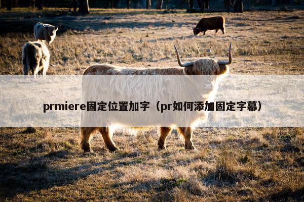prmiere固定位置加字（pr如何添加固定字幕）