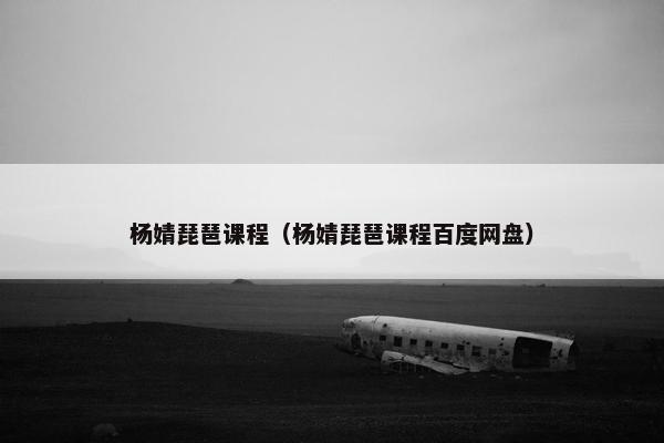 杨婧琵琶课程（杨婧琵琶课程百度网盘）