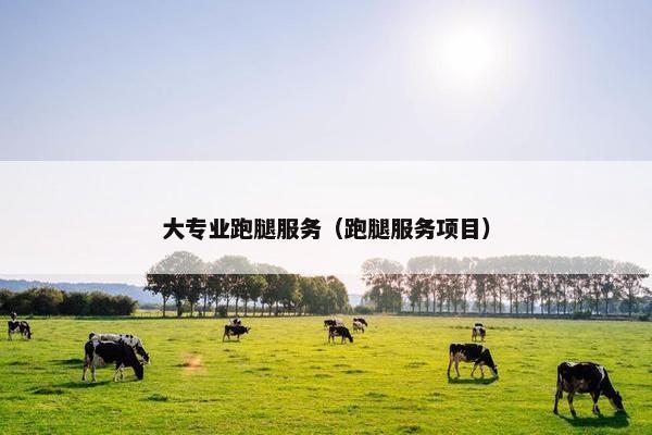 大专业跑腿服务（跑腿服务项目）