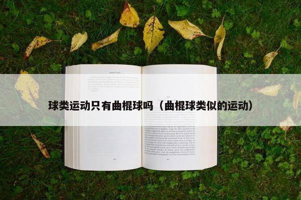 球类运动只有曲棍球吗（曲棍球类似的运动）