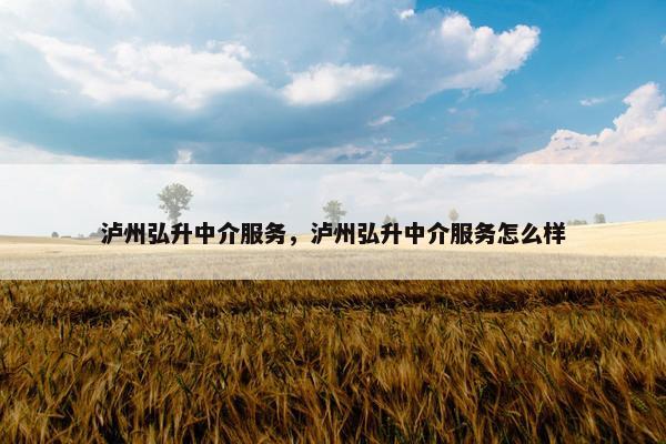 泸州弘升中介服务，泸州弘升中介服务怎么样
