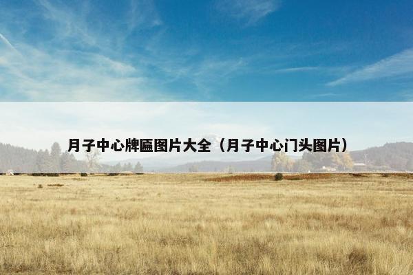 月子中心牌匾图片大全（月子中心门头图片）