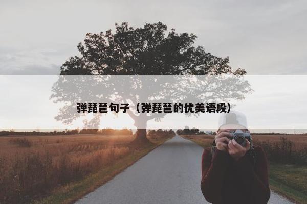 弹琵琶句子（弹琵琶的优美语段）
