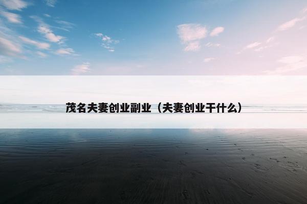 茂名夫妻创业副业（夫妻创业干什么）