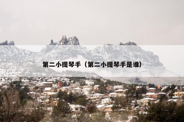 第二小提琴手（第二小提琴手是谁）