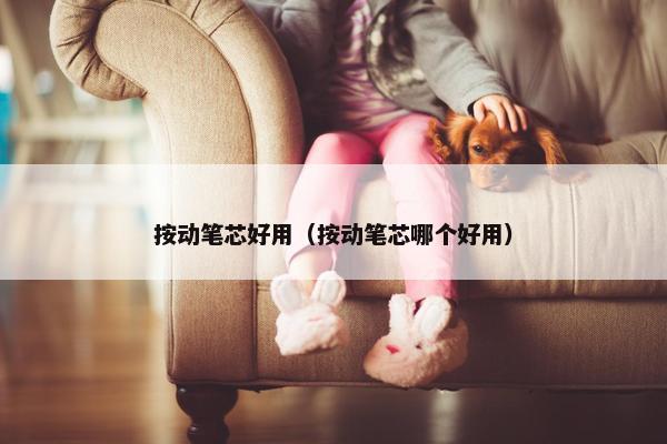 按动笔芯好用（按动笔芯哪个好用）