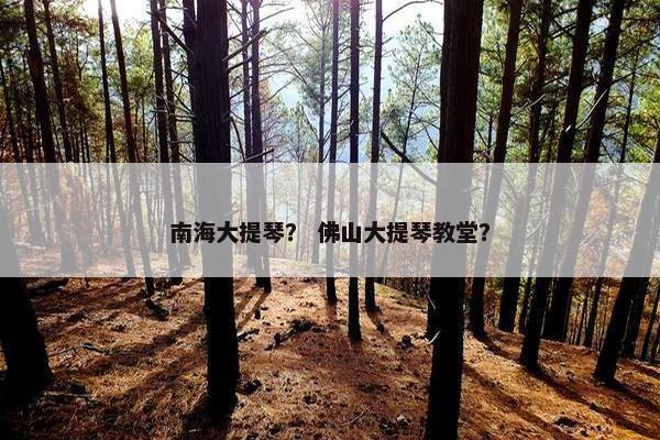 南海大提琴？ 佛山大提琴教堂？