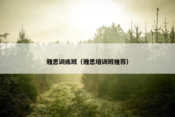 雅思训练班（雅思培训班推荐）