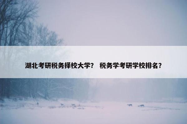 湖北考研税务择校大学？ 税务学考研学校排名？