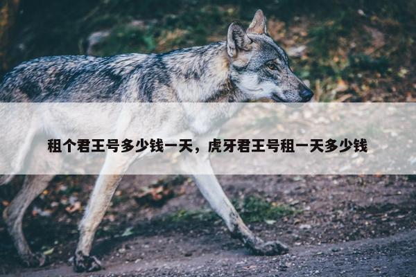 租个君王号多少钱一天，虎牙君王号租一天多少钱