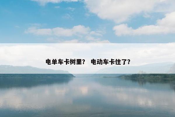 电单车卡树里？ 电动车卡住了？