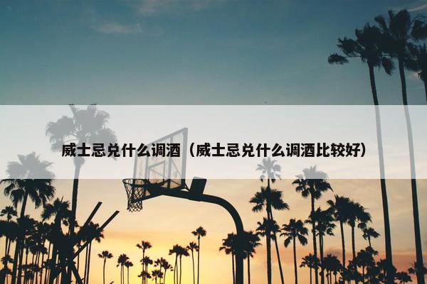 威士忌兑什么调酒（威士忌兑什么调酒比较好）