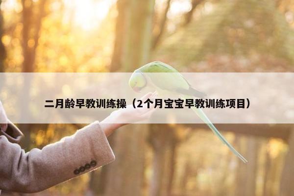 二月龄早教训练操（2个月宝宝早教训练项目）