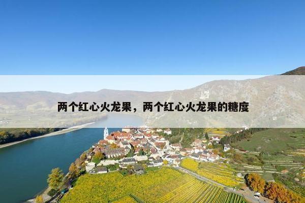 两个红心火龙果，两个红心火龙果的糖度