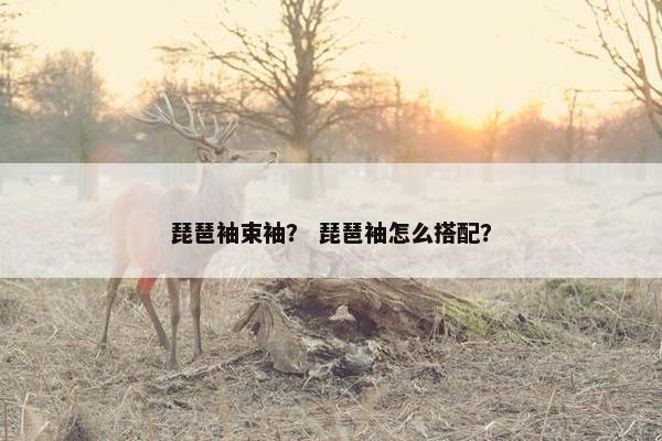 琵琶袖束袖？ 琵琶袖怎么搭配？