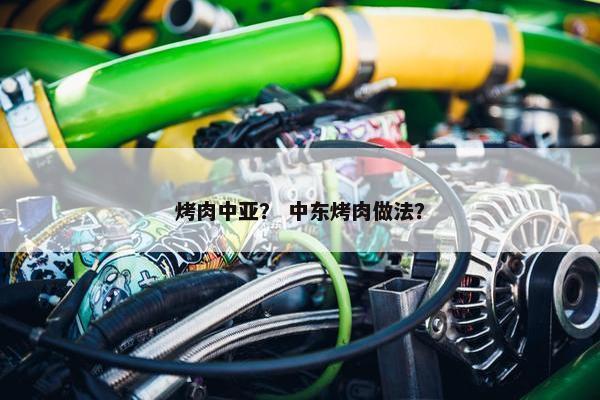 烤肉中亚？ 中东烤肉做法？