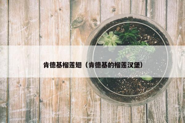 肯德基榴莲翅（肯德基的榴莲汉堡）