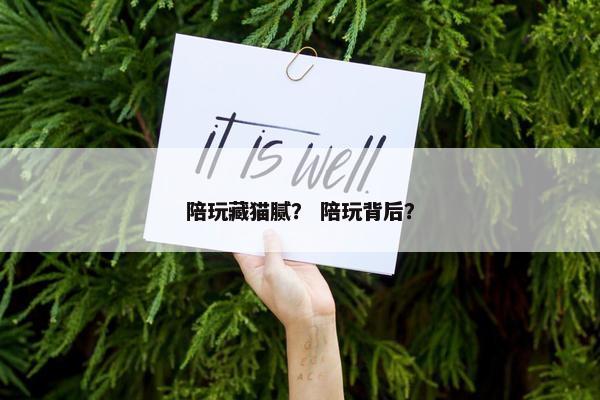 陪玩藏猫腻？ 陪玩背后？