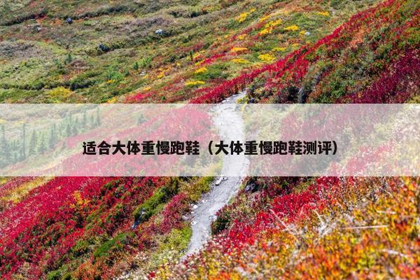 适合大体重慢跑鞋（大体重慢跑鞋测评）
