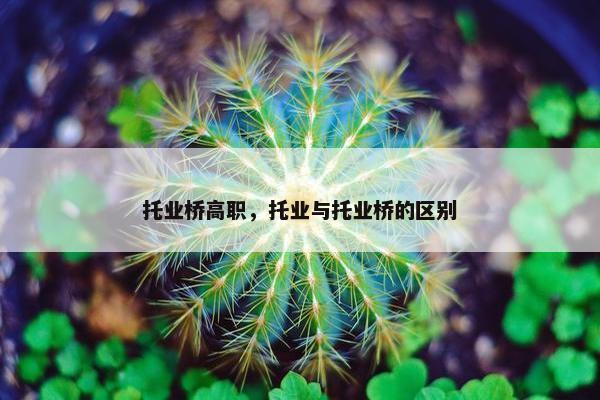 托业桥高职，托业与托业桥的区别