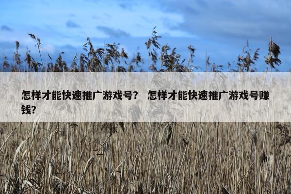 怎样才能快速推广游戏号？ 怎样才能快速推广游戏号赚钱？