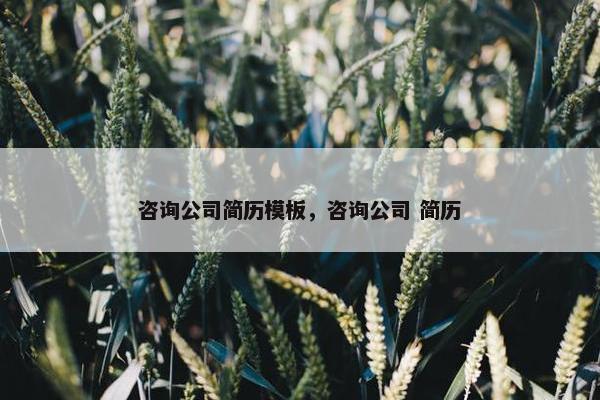 咨询公司简历模板，咨询公司 简历