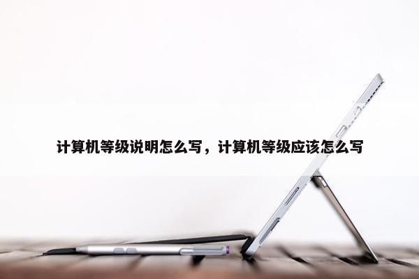 计算机等级说明怎么写，计算机等级应该怎么写