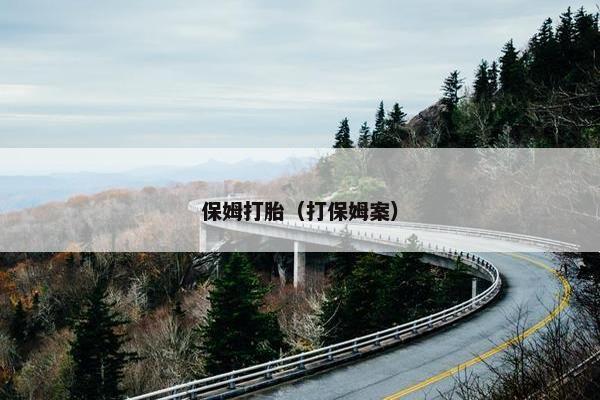 保姆打胎（打保姆案）