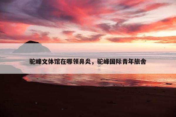 驼峰文体馆在哪领鼻炎，驼峰国际青年旅舍