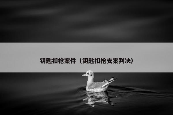 钥匙扣枪案件（钥匙扣枪支案判决）