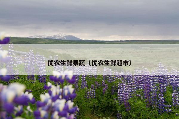 优农生鲜果蔬（优农生鲜超市）