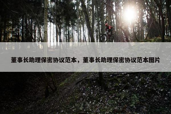 董事长助理保密协议范本，董事长助理保密协议范本图片