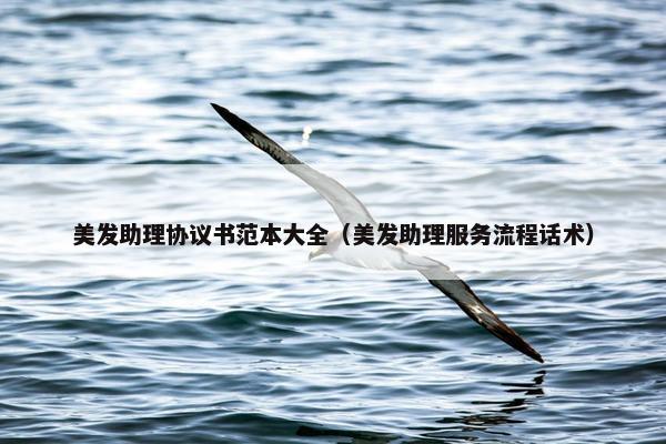 美发助理协议书范本大全（美发助理服务流程话术）