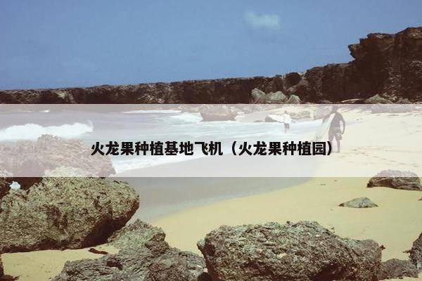 火龙果种植基地飞机（火龙果种植园）