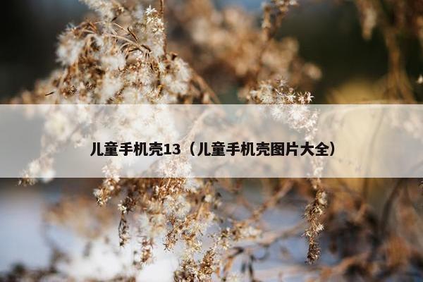 儿童手机壳13（儿童手机壳图片大全）