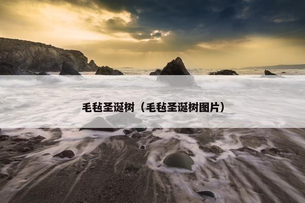 毛毡圣诞树（毛毡圣诞树图片）