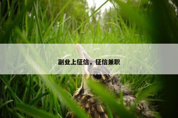 副业上征信，征信兼职