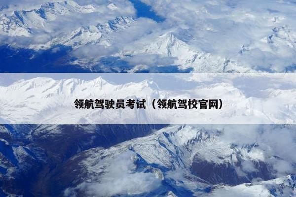 领航驾驶员考试（领航驾校官网）