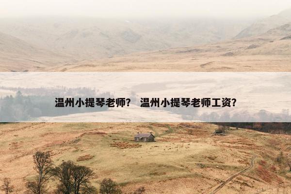 温州小提琴老师？ 温州小提琴老师工资？