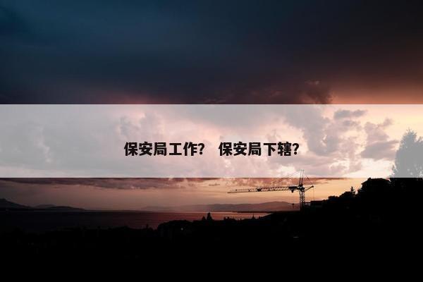 保安局工作？ 保安局下辖？