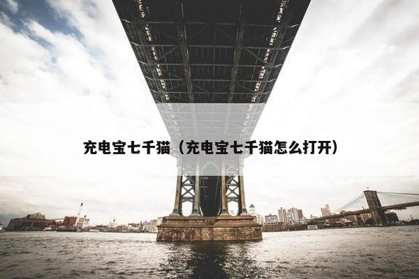 充电宝七千猫（充电宝七千猫怎么打开）