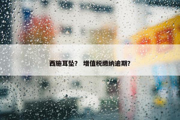 西施耳坠？ 增值税缴纳逾期？