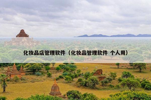 化妆品店管理软件（化妆品管理软件 个人用）