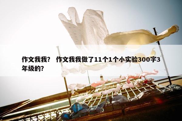 作文我我？ 作文我我做了11个1个小实验300字3年级的？